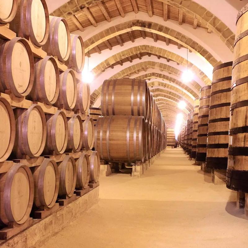 "Autunno in Cantina" in Sicilia Occidentale: otto eccellenze tra Degustazioni, Spettacoli e Arte