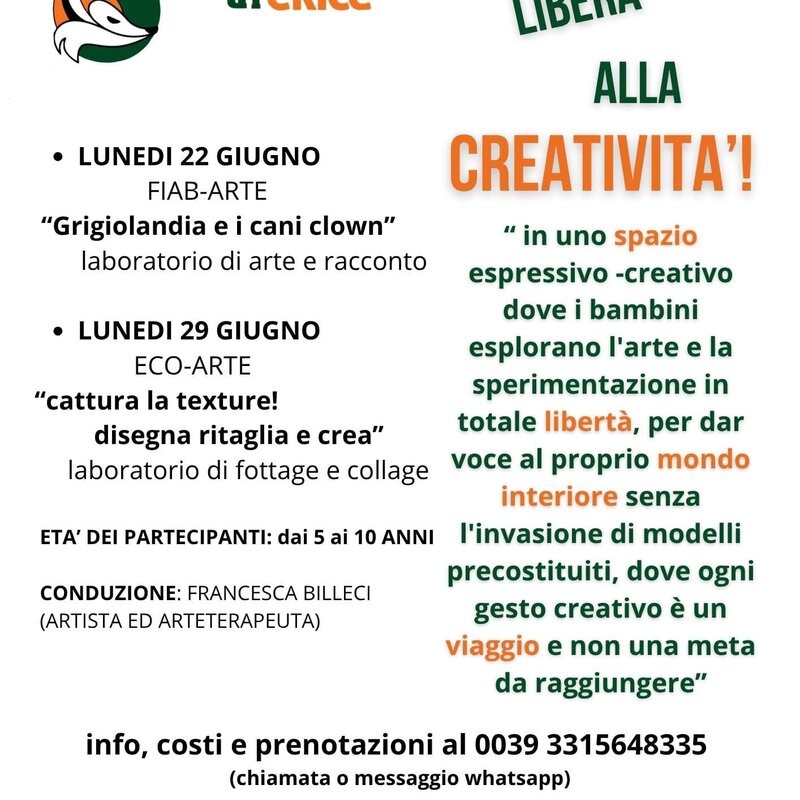 Al Parco Avventura Erice Arrivano I Laboratori Artistici Per Bambini