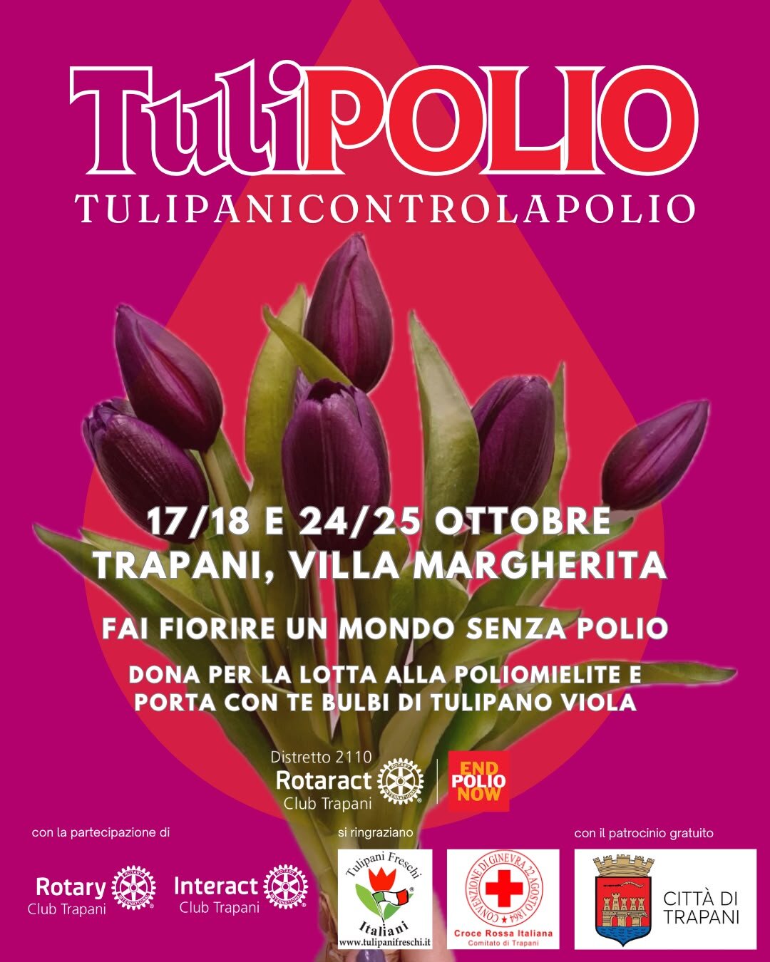 “TuliPOLIO – Tulipani Contro La Polio”: A Trapani Quattro Giornate A Sostegno Di End Polio Now
