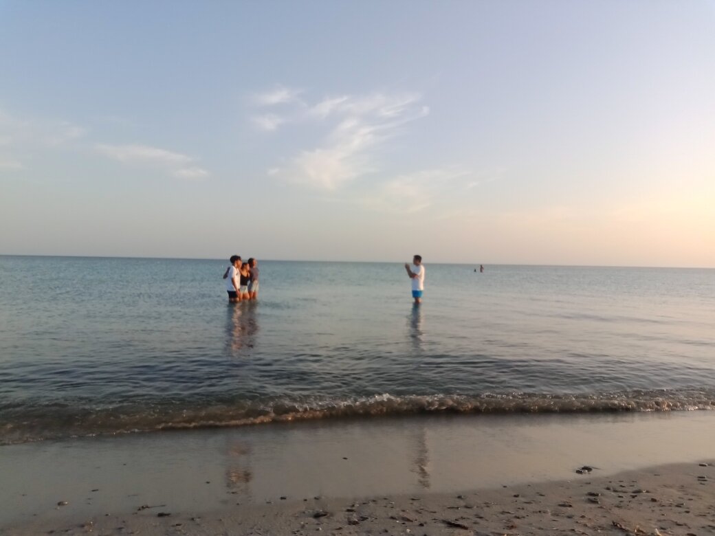 Giardino del Mare srls